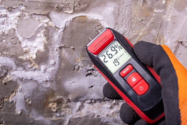 Certified Mold Removal in Princeton, MO