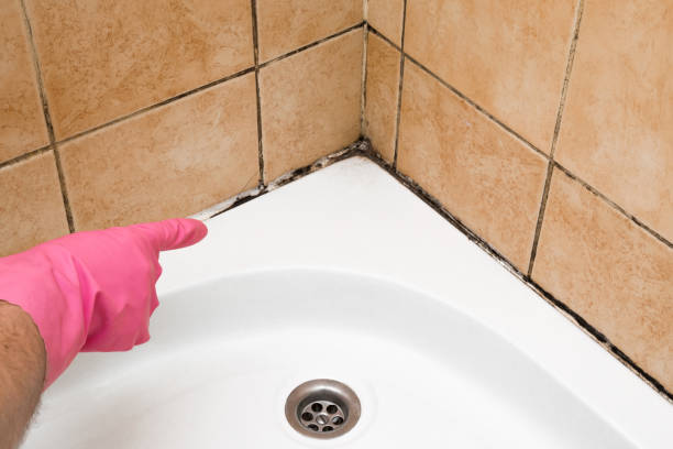 Best Crawl Space Mold Removal  in Princeton, MO